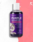 Fialový šampon Kormesic neutralizující žluté tóny blond vlasů – 300 ml