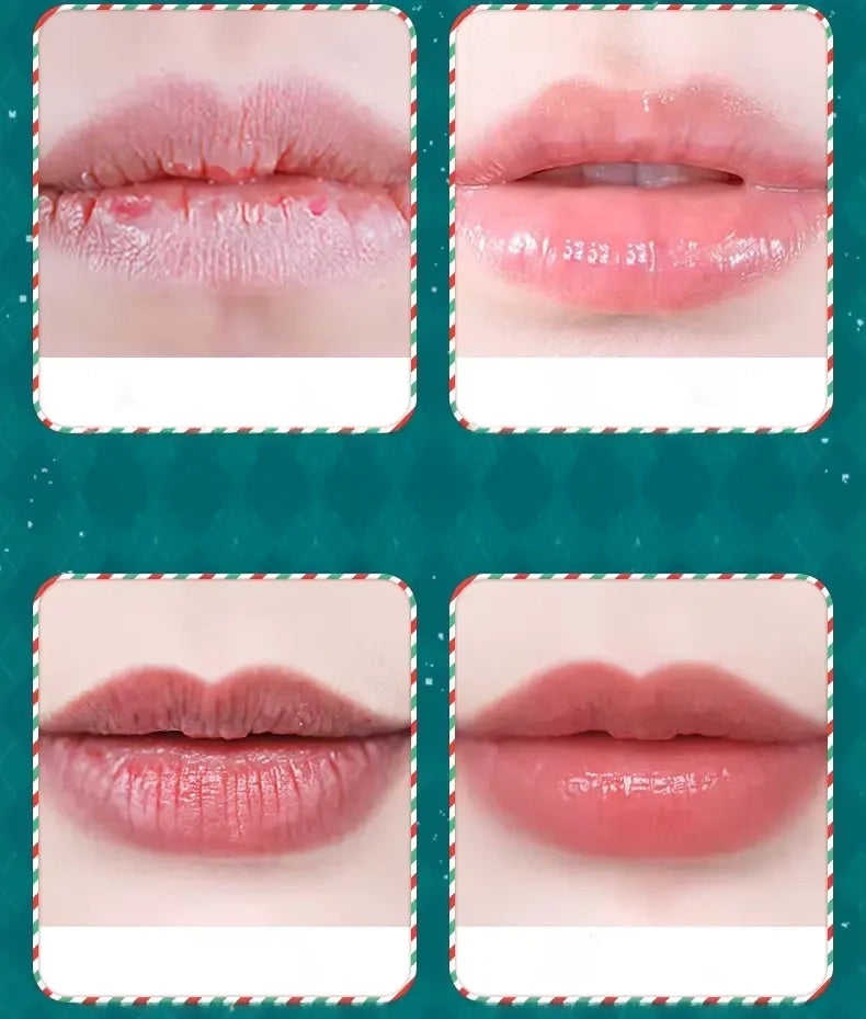 Sadoer Moisturizing Lip Balm Set